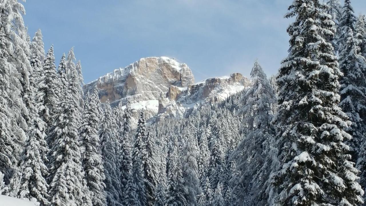 דירות קאנזיי Casa Del Bosco מראה חיצוני תמונה